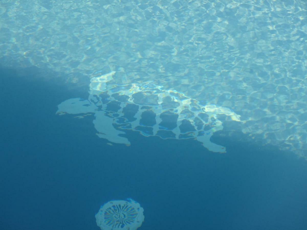 Gite La Tortue Bleue Bouillante Extérieur photo